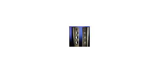 Акустическая система Monitor Audio Platinum PL200 (“Аудиомагазин